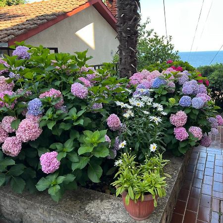 Mali Stan Opatija Διαμέρισμα Εξωτερικό φωτογραφία